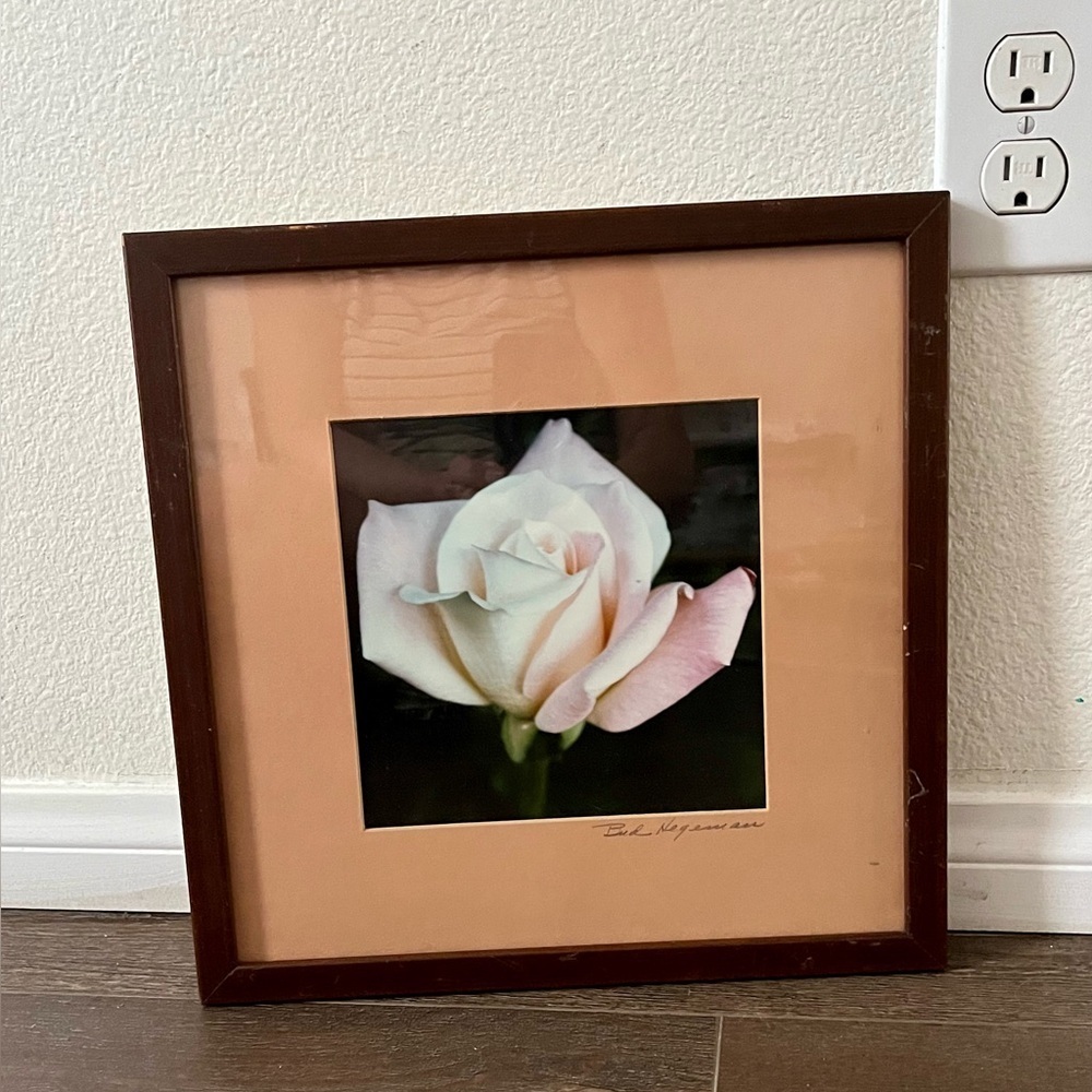 Framed White Rose Photograph By But Hereman Wall Art 12/13 Inch